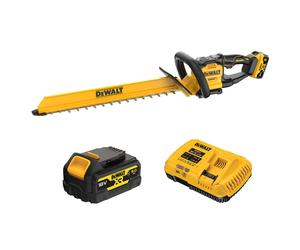DeWALT DCMHT567P1-QW Kit Taille-haie À Batterie Li-ion 18 V (1 Batterie 5,0 Ah) - 60 Cm