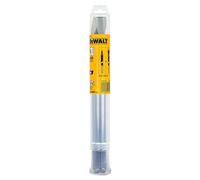 DeWalt Jeu de burins SDS-max DT9000-QZ 2 pièces