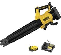 DEWALT Souffleur sans fil lithium 18 V 5 Ah