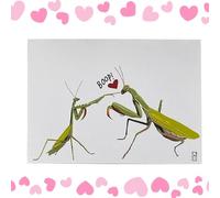 dewdat Carte De Saint-Valentin | Thème Animal | Carte De Saint-Valentin En Papier | Pour Lui, Elle, Mari, Fiancé, Femme, Demande En Mariage, Réconciliation, Excuses