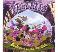 Dewdrops In The Garden