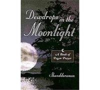 Dewdrops in the Moonlight Shanddaramon (Auteur)