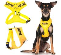 Dexil Adopt ME (J'Ai Besoin d'une Nouvelle Maison) Harnais pour Chien rembourré et imperméable avec Anneau en D Anti-Traction à Code Couleur Jaune pour éviter Les Accidents en avertissant Les Autres