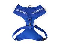 Dexil Assistance Dog Harnais pour Chien rembourré et imperméable avec Anneau en D Anti-Traction à Code Couleur pour éviter Les Accidents en avertissant Les Autres de Votre Chien à l'avance (XS)