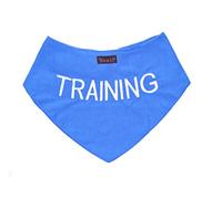 Dexil Formation Bandana Bleu pour Chien personnalisé qualité Message brodé. Accessoire de Mode écharpe Cou. Prévient Les Accidents par Avertissement Autres de Votre Chien en Advance