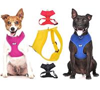 Dexil Harnais de luxe étanche et rembourré de la gamme Elite avec des anneaux avant et arrière réglable sans traction pour chien