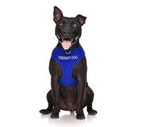Dexil Limited Therapy Dog Harnais pour Chien rembourré et imperméable avec Code Couleur Bleu et Anneau en D sans Traction pour éviter Les Accidents en avertissant Les Autres de Votre Chien
