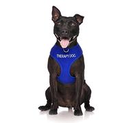 Dexil Limited Therapy Dog Harnais pour Chien rembourré et imperméable avec Code Couleur Bleu et Anneau en D Anti-Traction pour éviter Les Accidents en avertissant Les Autres de Votre Chien
