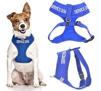 Dexil SERVICE DOG Harnais rembourré et imperméable à code couleur bleu avec anneau en D pour éviter les accidents en avertissant les autres de votre chien à l'avance