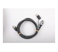 Dexlan - Cordon de raccordement - USB, USB-C (M) pour RJ-45 (M) - 2 m - blindé - CAT 6 - USB 2.0 / USB 3.0 / USB 3.1 / USB 3.2 / USB4 / Thunderbolt 3 / Thunderbolt 4 - démarré, moulé, sans crochet