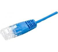 Dexlan Cordon UTP 1P surmoulé RJ45/RJ45 pour Téléphone 100 ohms 1 m
