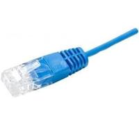 Cordon téléphonique RJ45 / RJ45 UTP 1 paire 4/5 bleu - 10 m