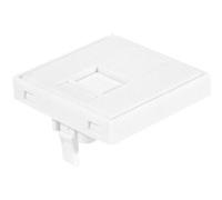 DEXLAN Plastron 45X45 droit pour 1 port RJ45 keystone