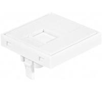 Dexlan Plastron 45x45 droit pour 1 port RJ45 keystone