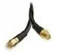 DEXLAN RALLONGE ANTENNE WiFi RP-SMA 1M
