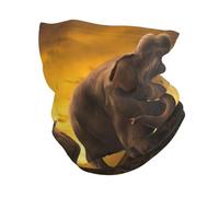 Dexnel Cache-cou motif éléphant coucher de soleil parent-enfant, cagoule multifonctionnelle, masque élastique, protection contre le vent