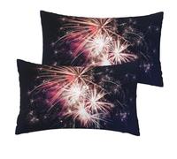 DEXNEL Lot de 2 taies d'oreiller en imitation lin avec impression de feu d'artifice simple et durable 30,5 x 50,8 cm pour canapé-lit