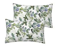 DEXNEL Lot de 2 taies d'oreiller en imitation lin avec impression de feuilles d'eucalyptus vertes, douces et durables, 30,5 x 50,8 cm pour canapé-lit