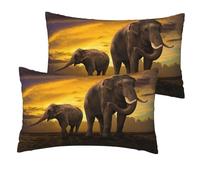 DEXNEL Lot de 2 taies d'oreiller en imitation lin avec impression d'éléphants - Doux et durable - 30,5 x 50,8 cm - Pour canapé-lit