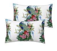 DEXNEL Lot de 2 taies d'oreiller en imitation lin avec impression paon simple et durable 30,5 x 50,8 cm pour canapé-lit