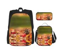 DEXNEL Lot de 3 sacs à dos d'école assortis avec boîte à déjeuner pour application de l'univers, Noir , Taille unique, Ensemble cartable
