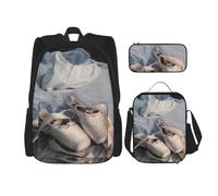DEXNEL Lot de 3 sacs à dos d'école assortis pour chaussures de ballet avec boîte à déjeuner, Noir , Taille unique, Ensemble cartable