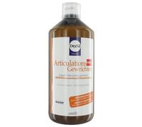 Dexsil Articulations Forte + Msm Glucosamine Chondroïtine 1 Litre