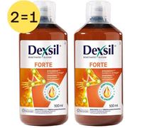 Dexsil® Forte 2 pour 1 Solution(S) 2x500 ml