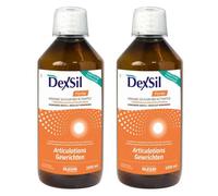 DexSil® Forte Articulations Solution(S) 2x1 l