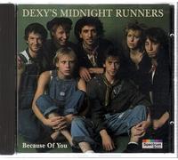 Dexys Midnight Runner – Because of You – Import