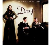 Dexys – One Day I'm Going to Soar – Vinyle 2 LP