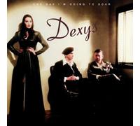 Dexys – One Day I'm Going to Soar – Vinyle 2 LP