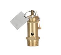 DEYIN Soupape de sécurité for compresseur A21W-16T, soupape de sécurité for chaudière électrique/à charbon, générateur de vapeur 1/2(0.05mpa (0.5 kg))