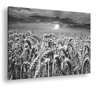 deyoli Format champ de blé lumineux : 90 x 60 cm - Effet : noir/blanc - Motif monté sur cadre en bois véritable - Impression numérique de qualité supérieure avec cadre