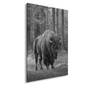 deyoli Impression sur toile - Bison massif devant la forêt d'automne - 100 x 70 cm - Noir et blanc