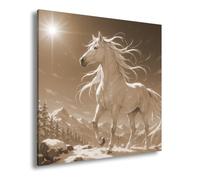 deyoli Impression sur toile Cheval blanc dans le massif de montagne enneigé 60 x 60 cm Sépia