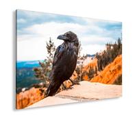 deyoli Impression sur toile motif corbeau sur rocher, gardien entre ciel, forêt et montagnes flamboyantes Format : 100 x 70 cm XXL Impression d'art sur châssis Décoration murale pour salon