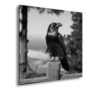 deyoli Impression sur toile motif œil vigilant, corbeau comme gardien silencieux de la nature, format : 60 x 60 cm, effet : noir et blanc, impression d'art XXL, image sur châssis/tableau mural