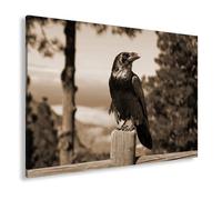 deyoli Impression sur toile motif « regard vigilant » représentant un corbeau en tant que gardien silencieux de la nature Format : 90 x 60 cm Effet : sépia XXL Impression d'art sur châssis