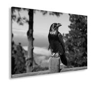 deyoli Impression sur toile motif « regard vigilant » représentant un corbeau en tant que gardien silencieux de la nature Format : 100 x 70 cm Effet : noir et blanc XXL Impression d'art sur châssis