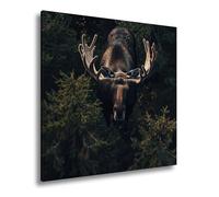 deyoli Impression sur toile représentant un élan majestueux dans l'ombre de la forêt - Format XXL : 40 x 40 cm - Impression d'art sur châssis - Décoration murale pour le salon