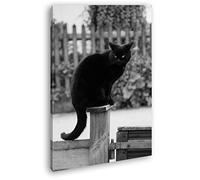 deyoli Thronende Chat Noir Effet : Noir et Blanc sur Toile montée sur châssis en Bois véritable Impression numérique avec Cadre, Pas de Poster ou de Affiches, Toile, Weiß, 120x80
