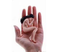 DEZARO Figurine d'action échelle 1/12, 15,2 cm, collection de corps super flexible, sans couture, pour femme (T01A Pale Skin Female Action Figure)