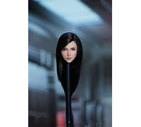 DEZARO Tête de femme à échelle 1/6, tête de cheveux plantée fantaisie pour femme de 30,5 cm, figurine d'action TBLeague (cheveux longs)