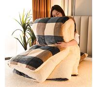 DEZYPZAM Couette en Velours de Laine d'agneau en Coton, Épaisse et Chaude Cachemire Édredon, Anti-poussière et Anti-Allergique Au Printemps Hiver et Automne (Plaid,150x200cm (1.75kg))
