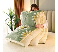 DEZYPZAM Couette en Velours de Laine d'agneau en Coton, Épaisse et Chaude Cachemire Édredon, Anti-poussière et Anti-Allergique Au Printemps Hiver et Automne (Vert,150x200cm (1.75kg))