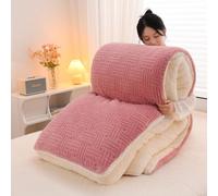 DEZYPZAM Couette Hiver TrèS Chaude, Chaud Et Confortable, Hiver Couverture 2 Personne Laine, Très Chaud Couette Epaisse Moelleuse éDredon Adulte Edredon Gonflant (Rose,200x230cm (4 Kg))