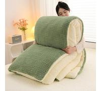 DEZYPZAM Couette Hiver TrèS Chaude, Chaud Et Confortable, Hiver Couverture 2 Personne Laine, Très Chaud Couette Epaisse Moelleuse éDredon Adulte Edredon Gonflant (Vert,200x230cm (3 Kg))