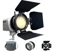 DF-10 Bowens Mount Lentille Fresnel avec 4-Leaf Volets Coupe-Flux