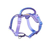 DF Freedom Harnais martingale anti-traction pour chien, contrôle de sécurité pour arrêter de tirer, réfléchissant et réglable à 5 points, poignée rembourrée pour un soutien facile, Rainbow Pro, 1,5
